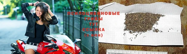 эйфоретик Арсеньев