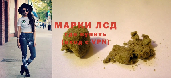 индика Армянск