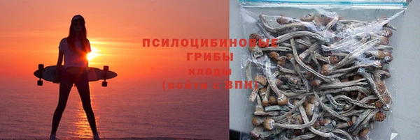 прущая мука Аркадак