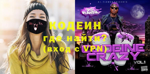 индика Армянск