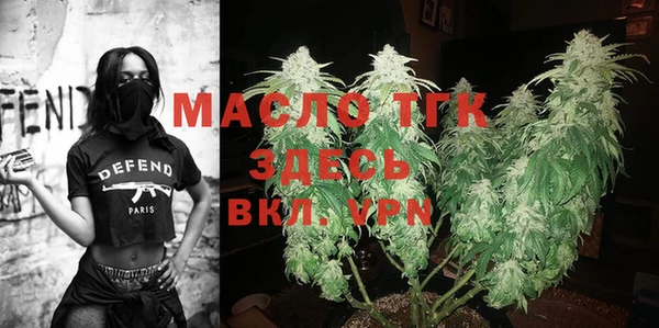 индика Армянск