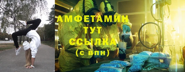 индика Армянск