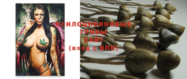 индика Армянск